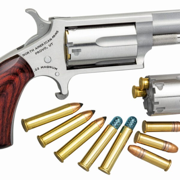 New! North American Arms Convertible Rimfire Mini-Revolver with Eagle Head Grip